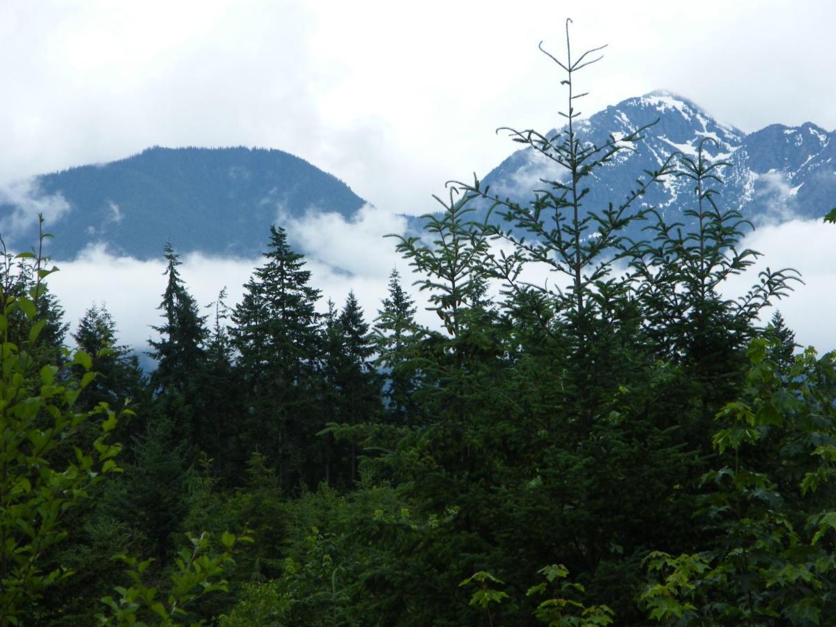 Rooster Hill Guest House Port Angeles Exteriér fotografie